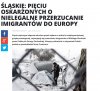 Hieny na wszystkim chcą zarobić