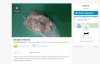 Oferta dnia z OLX