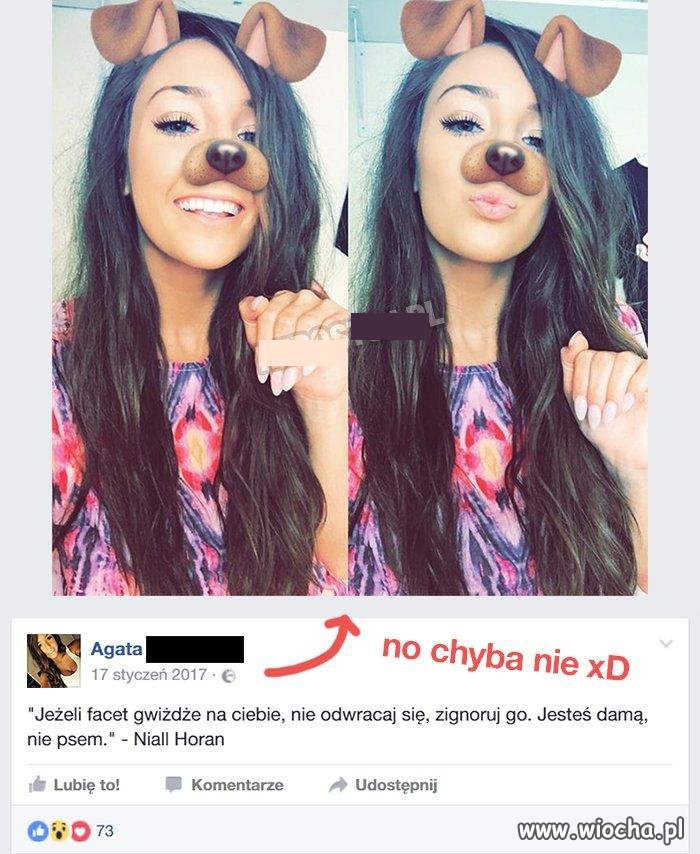 No chyba jednak chcesz być psem.