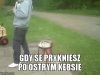 Tymczasem...