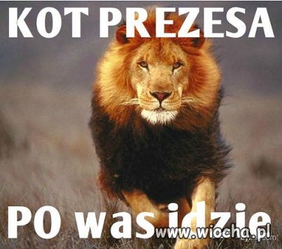 Śmieszne a może nie..