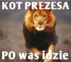 Śmieszne a może nie..