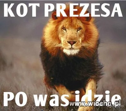 Śmieszne a może nie..