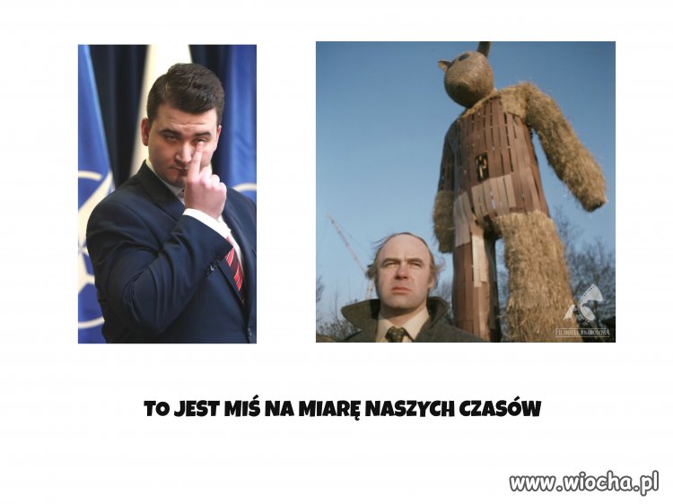 TO JEST MIŚ...
