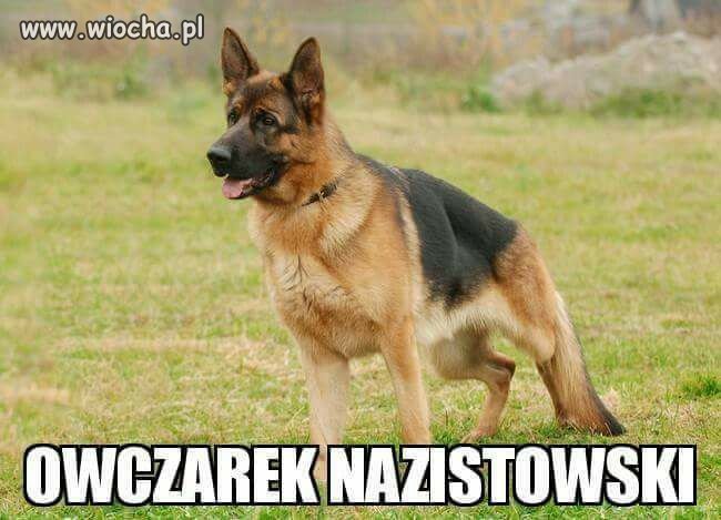 Opis poniżej ...