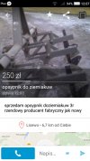 Ziemiakuw? 