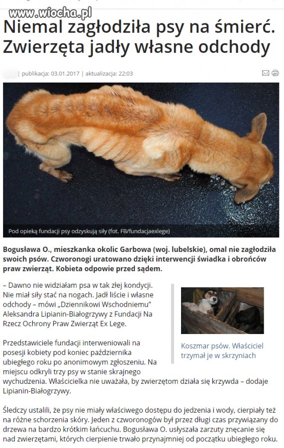 Brak słów
