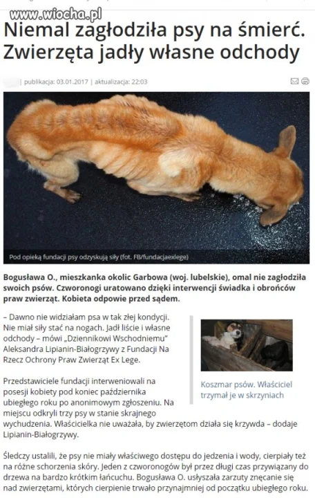Brak słów