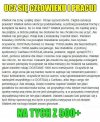 Ucz się pracuj