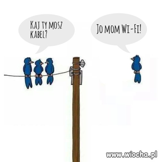 Takie tam...