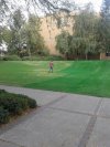 Chodź, pomaluj mój świat