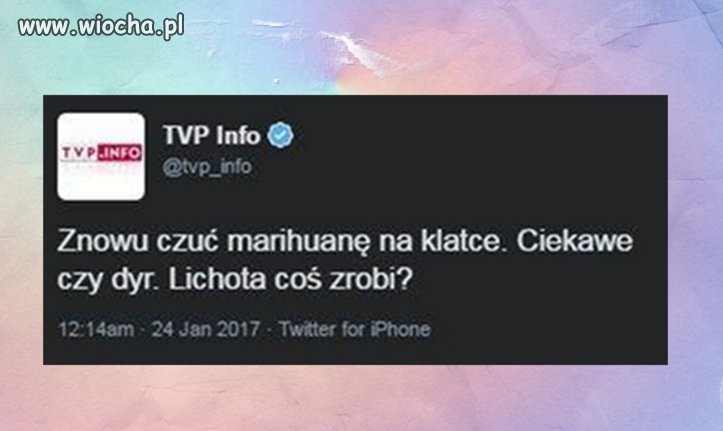 TVP Info
