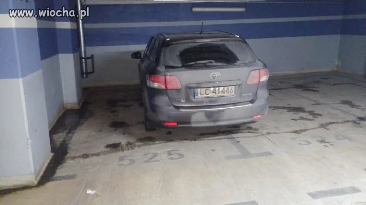 Mistrz parkowania
