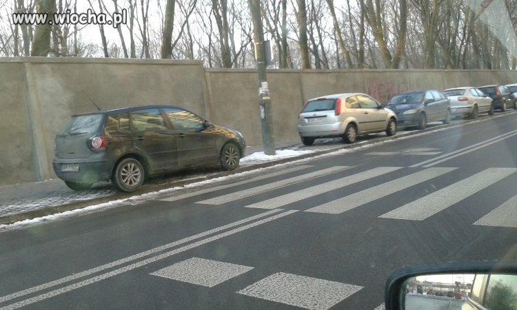 Mistrz parkowania