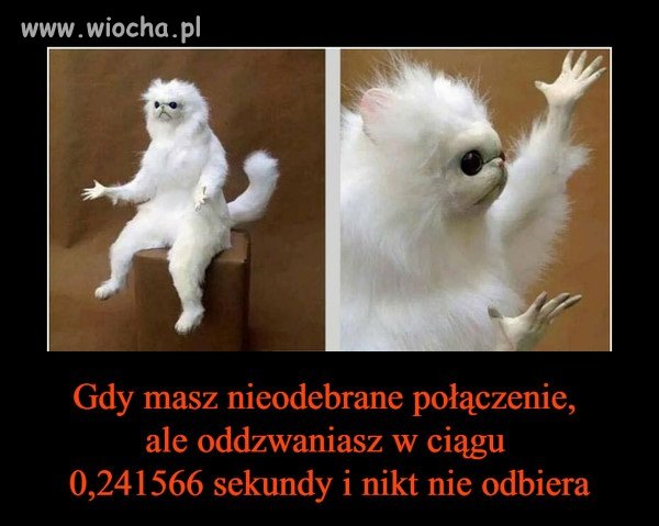 W sumie tak to właśnie wygląda 