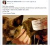 Idiotka okleja kota plombami od komornika
