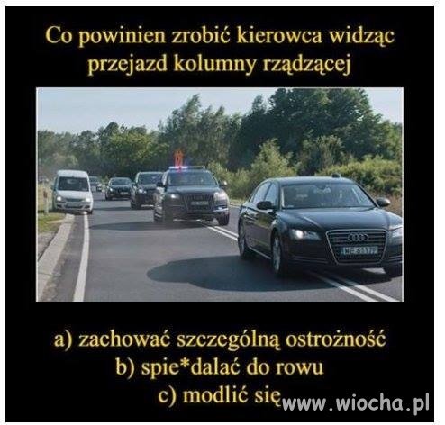 Pytanie