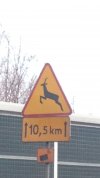 Już nawet jelenie obowiązuje viaTOLL?