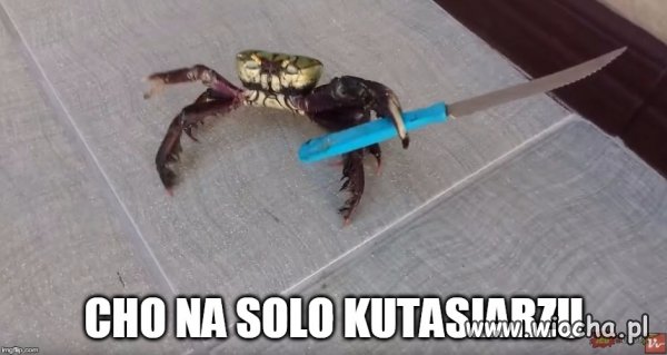 Bez walki mnie nie zjesz
