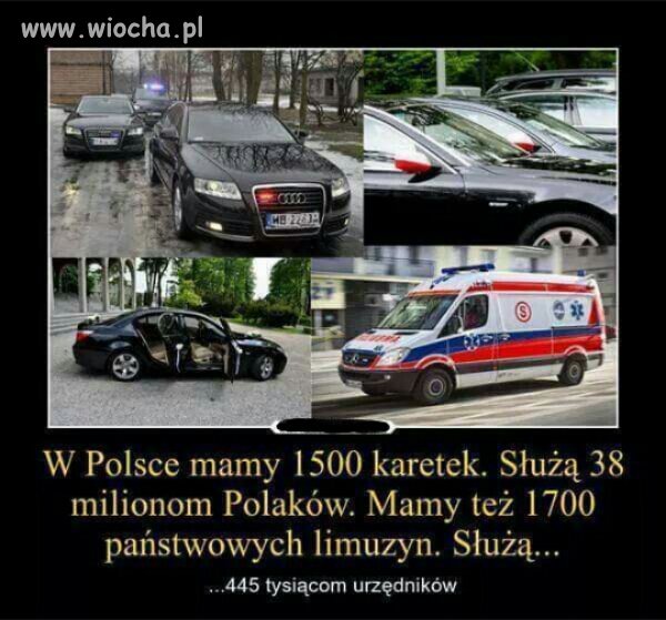 Tak to właśnie wygląda w Polsce