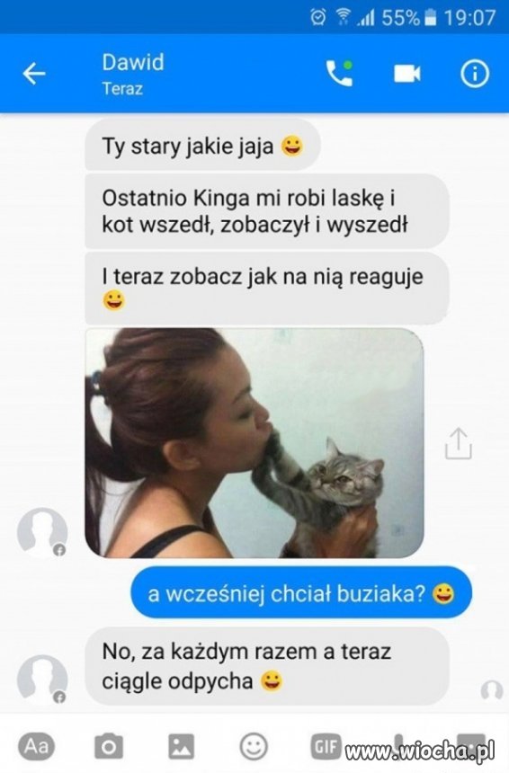 Kot się zlisił 