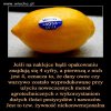 A co na to ekolodzy?