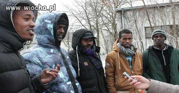 Somalijski migrant: Praca? Jaka praca? 