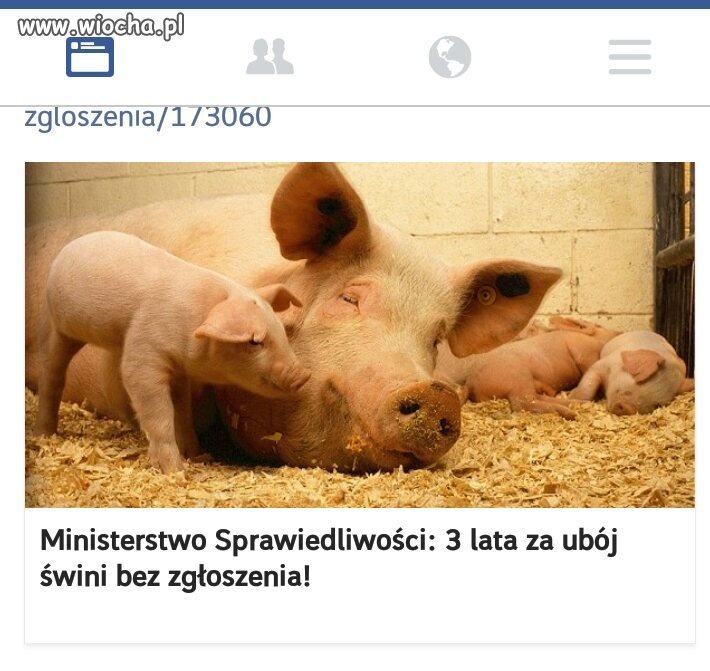Politycy Myślą Tylko O Sobie 