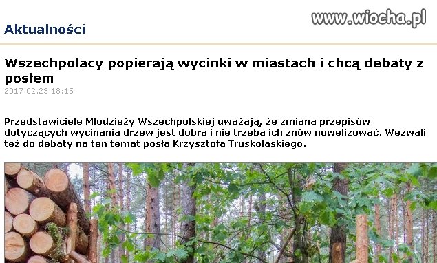 Akurat ich zdanie