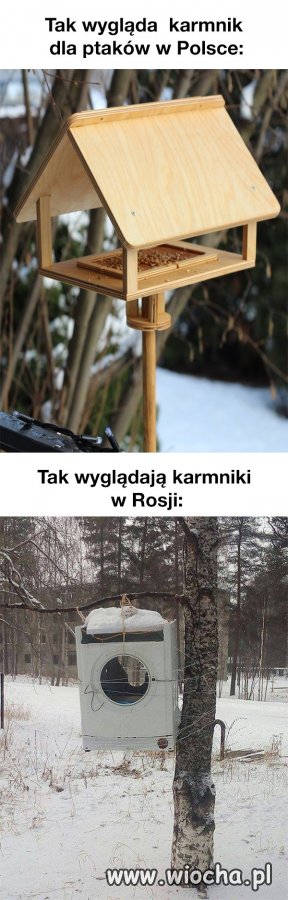 Bo u nich zawsze wszystko większe