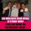 Oj biedny miś ...