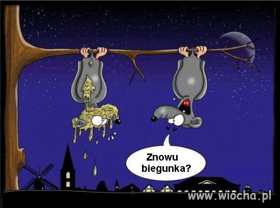 Znowu biegunka?