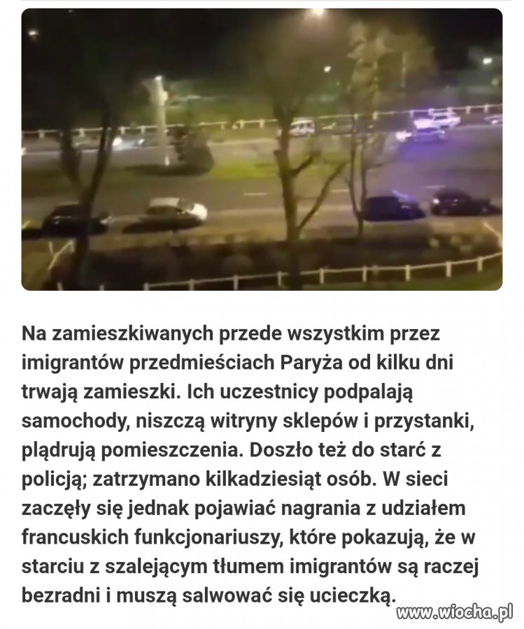Francuska policja 