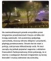 Francuska policja 