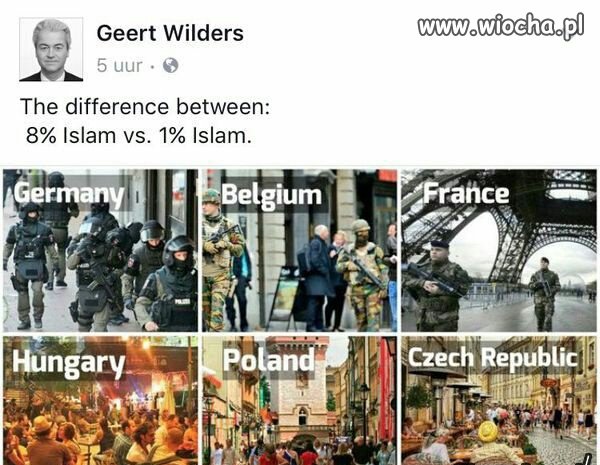 Pan Wilders szerzy mowę nienawiści