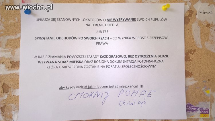 Na jednym z osiedli...