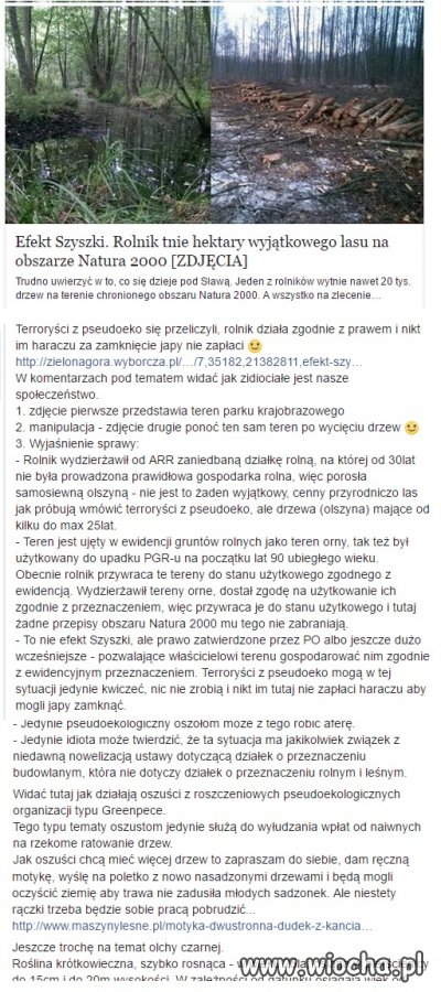 Manipulacja w wykonaniu GW ... 