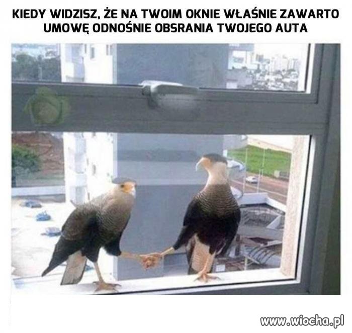 No to mamy deal