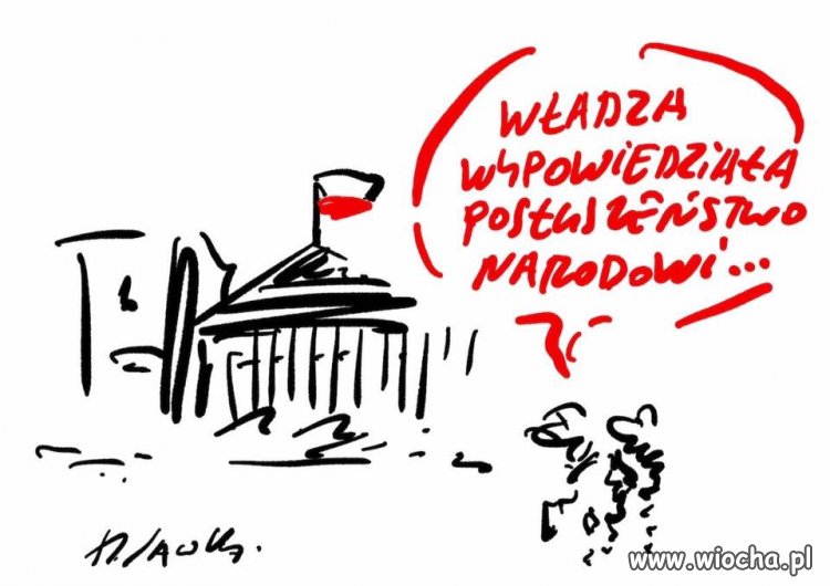 Sawka wiecznie żywy.