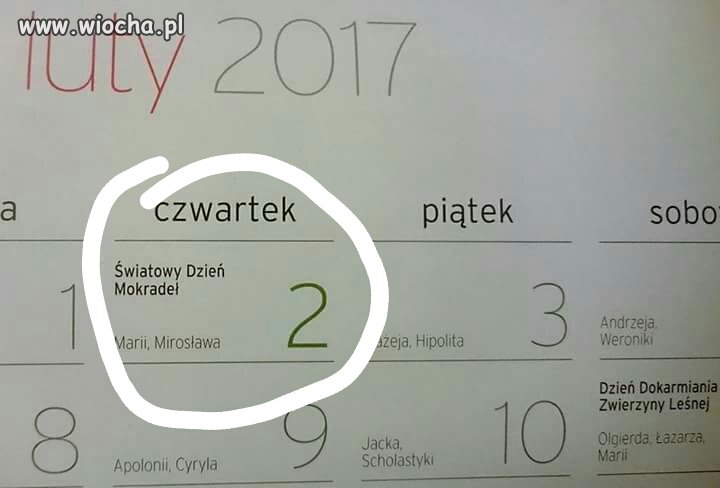Szuwary Też Mają Swoje Święto