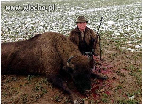 Barbarzyńcą jesteś szyszko!