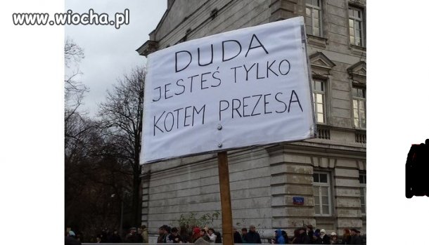 Strasznie ktoś poniżył koty 