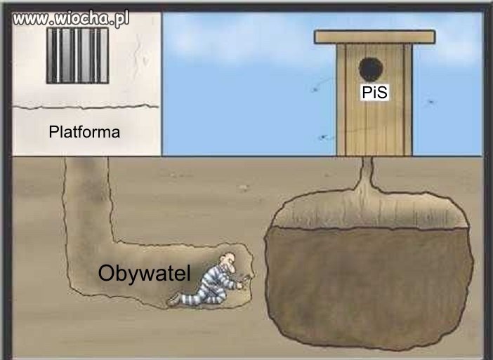 Wyborcy