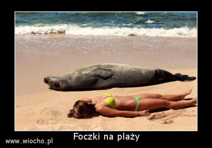 Gdzie to lato?