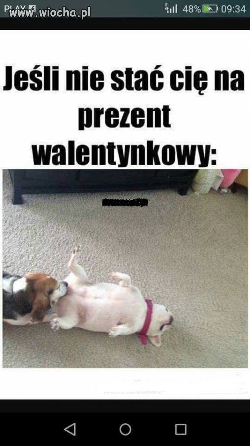 Walentynki