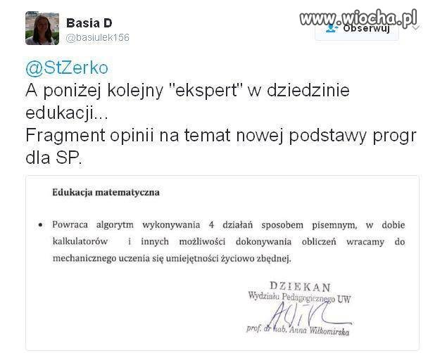 Rzeczowa opinia eksperta
