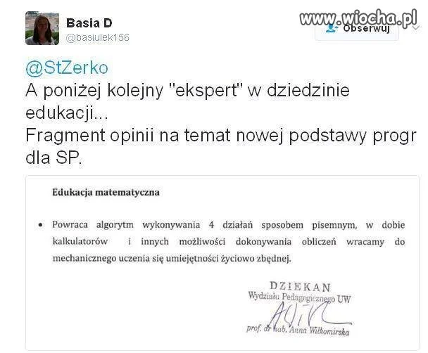 Rzeczowa opinia eksperta