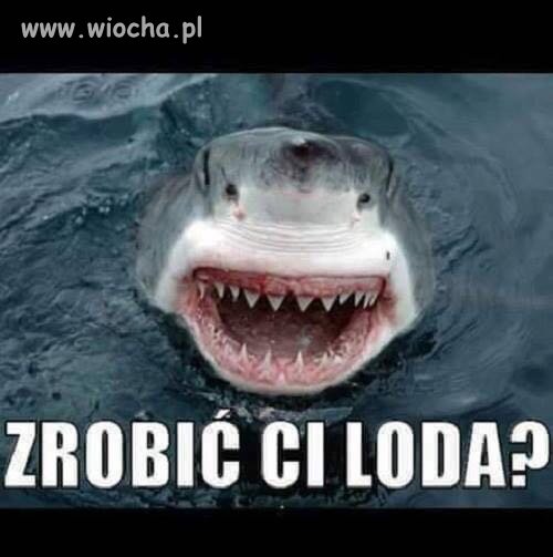 Zrobić Ci loda?