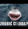 Zrobić Ci loda?