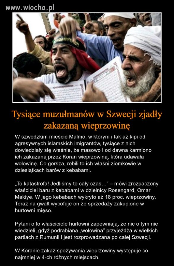 Olaboga, co to teraz będzie? Droga do raju ...